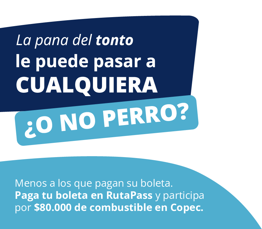 La pana del tonto le puede pasar a cualquiera ¿o no perro?