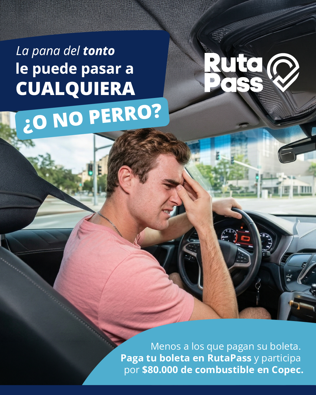 La pana del tonto le puede pasar a cualquiera ¿o no perro?